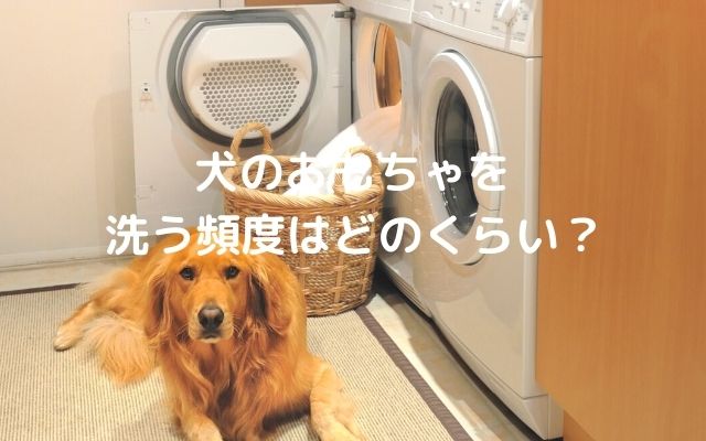 犬のおもちゃを洗う頻度