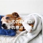 犬の寝床の冬の寒さ対策