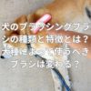 犬のブラッシングブラシの種類と特徴とは？犬種によって使うべきブラシは変わる？