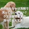 犬のおもちゃは洗剤で洗ってはいけない？クエン酸や重曹で洗っても大丈夫？