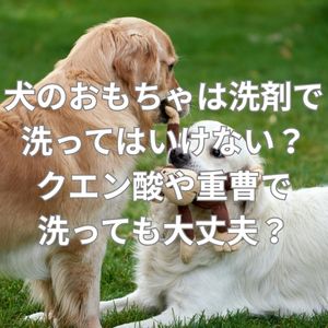 犬のおもちゃは洗剤で洗ってはいけない？クエン酸や重曹で洗っても大丈夫？