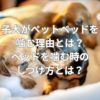 子犬がペットベッドを噛む理由とは？ベッドを噛む時のしつけ方とは？