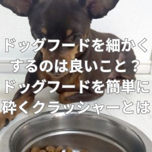 ドッグフードを細かくするのは良いこと？ドッグフードを簡単に砕くクラッシャーとは？