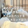 犬のケージの中に入れるべきものは？トイレとベッドを入れるメリットは？