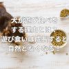 犬が遊び食べをする理由とは？遊び食いは成長すると自然となくなる？