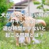 犬が遊んで欲しい時のサインとは？遊び時間が少ないと起こる問題とは？