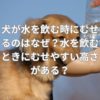 犬が水を飲む時にむせるのはなぜ？水を飲むときにむせやすい高さがある？